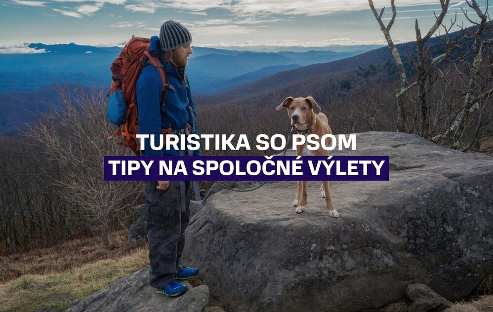 Turistika so psom: Ako si užiť hory a kam vyraziť na spoločný výlet 