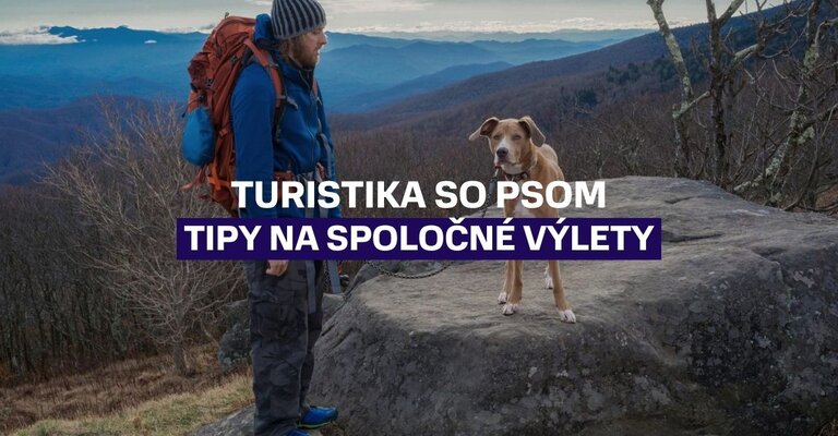 Turistika so psom: Ako si užiť hory a kam vyraziť na spoločný výlet 