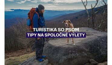 Turistika so psom: Ako si užiť hory a kam vyraziť na spoločný výlet 