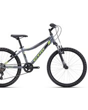 Bicykel CTM Berry Matná Sivá / Neónovozelená 2025 24"