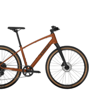 Bicykel Trek Dual Sport 3 Gen 5 Pennyflake 2025 L