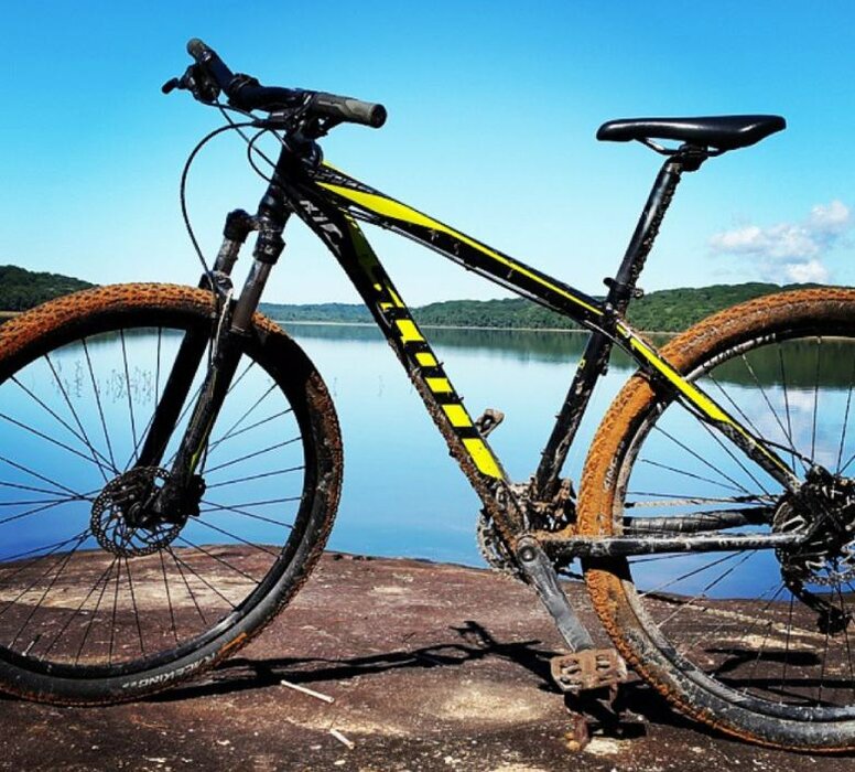 Engine Signal 26" Fialový