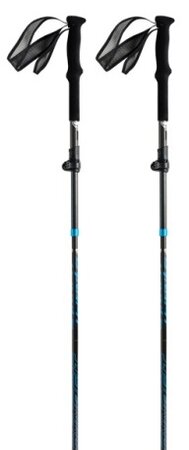 Bežecké palice Dynafit Ultra Pro Pole Carbon/Methyl Blue