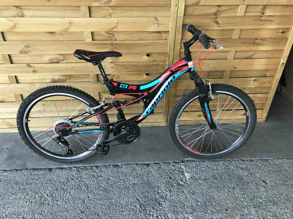 Bazárový detský bicykel Capriolo Ctx 240