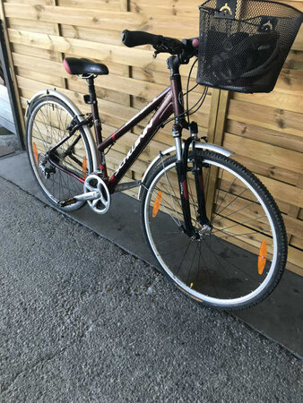 Schwinn hot sale searcher gs