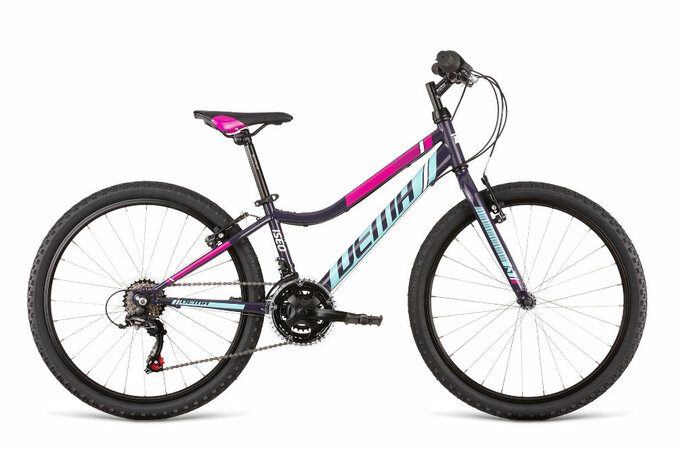 Bicykel Dema Iseo 24 Dark Violet 2020