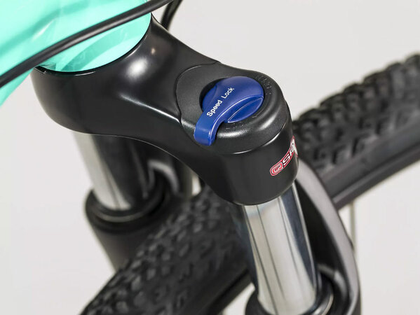 Bicykel Trek Dual Sport 2 W Miami Green 2020