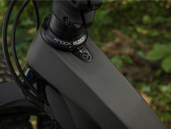 Bicykel Trek Fuel EX 9.7 Matte Raw Carbon Gloss Trek Black 2020