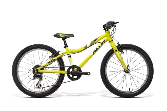 Detský bicykel Amulet 20 Fun Light Green Shiny/Black Shiny 2022