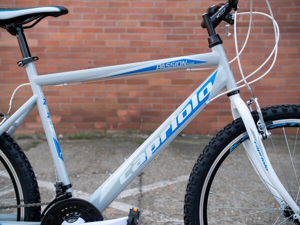 Bicykel Capriolo Passion Man Grey/Blue 2021