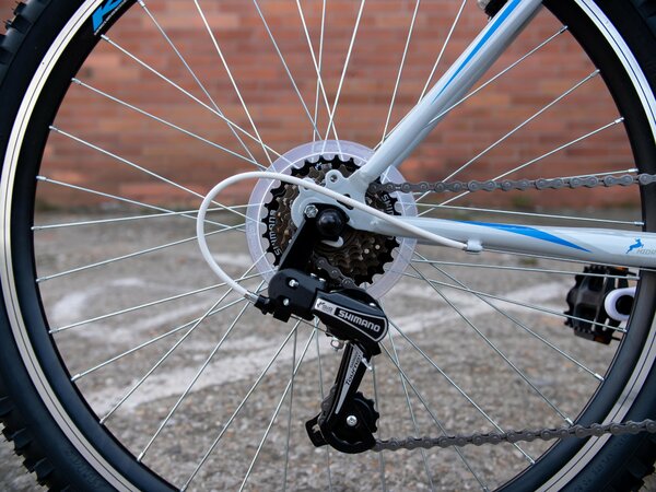 Bicykel Capriolo Passion Man Grey/Blue 2021