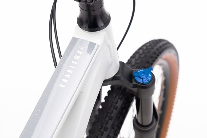 Bicykel CTM Charisma 3.0 Matná Svetlošedá/Lesklá Medená 2026