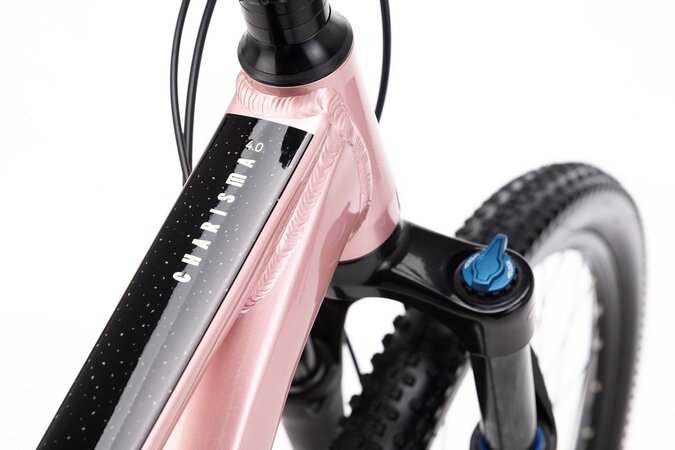 Bicykel CTM Charisma 4.0 Staroružová 2026