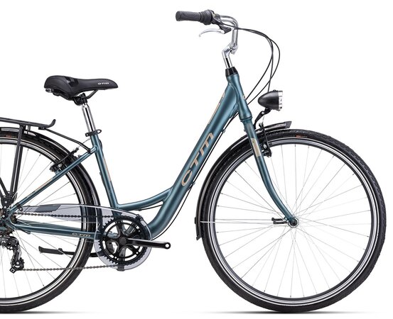 Bicykel CTM Nancy Matná Sivozelená / Svetlozlatá 2025