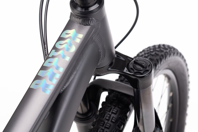 Bicykel CTM Raptor Matná Antracitová 2026