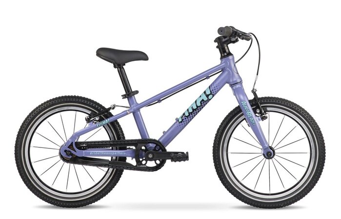 Bicykel FÍHA 16 Aura Blazer