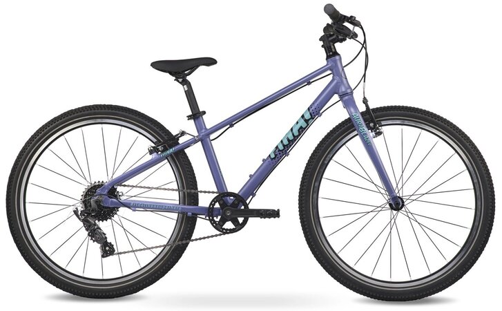 Bicykel FÍHA 24 Aura Blazer