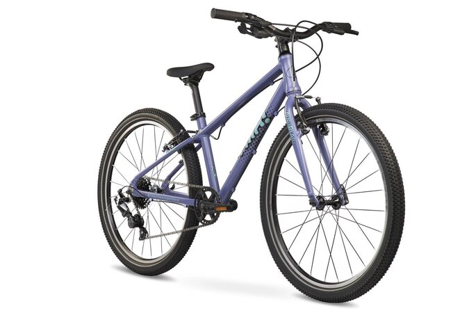 Bicykel FÍHA 24 Aura Blazer