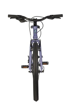 Bicykel FÍHA 24 Aura Blazer