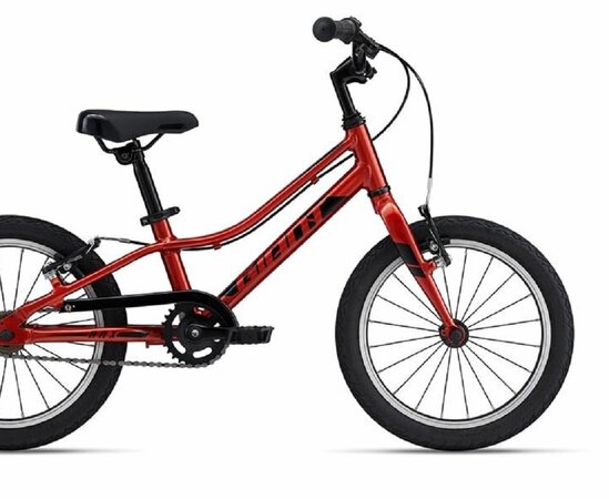 Bicykel Giant ARX F/W Grenadine 2024