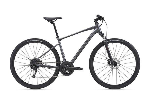 Giant roam shop 2 disc charcoal