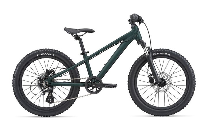Bicykel Giant STP 20 FS M21 Giant Trekking Green 2021