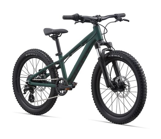 Bicykel Giant STP 20 FS M21 Giant Trekking Green 2021
