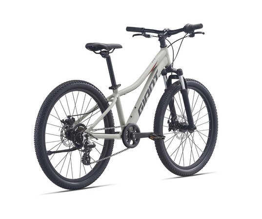 Bicykel Giant XtC Jr Disc 24 M21 Concrete 2021