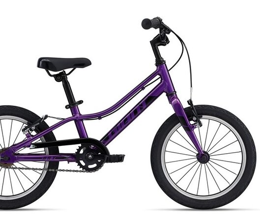 Bicykel Giant ARX F/W Purple 2024
