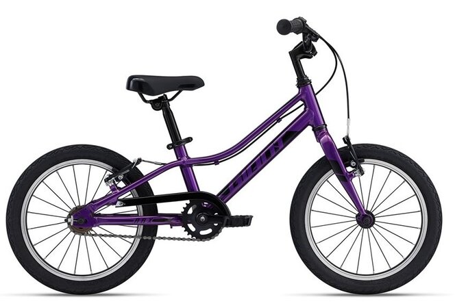 Bicykel Giant ARX F/W Purple 2024