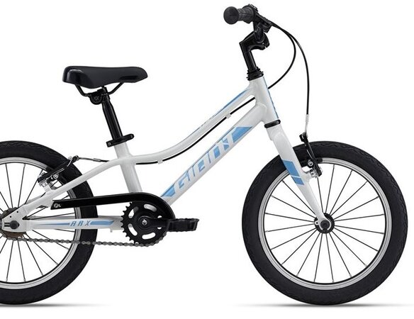 Bicykel Giant ARX F/W Snow Drift 2024