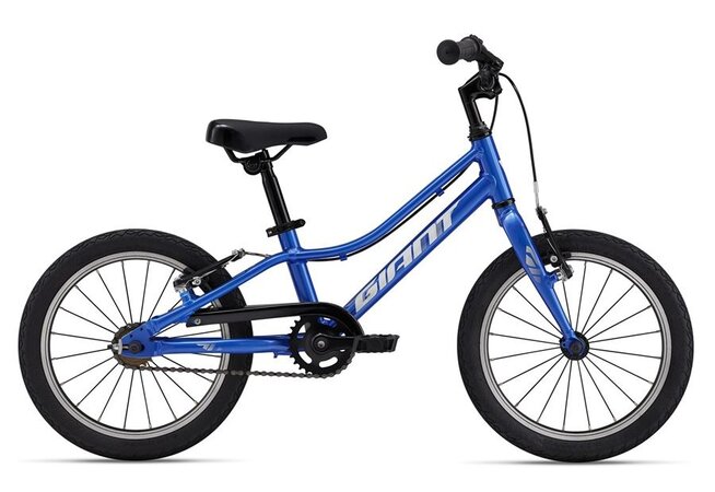 Bicykel Giant ARX 16 F/W Cobalt