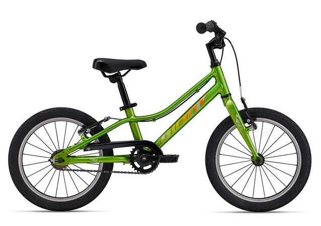 Bicykel Giant ARX 16 F/W Metallic Green