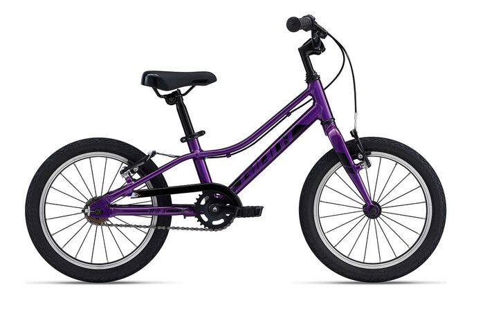 Bicykel Giant ARX 16 F/W Purple 2022
