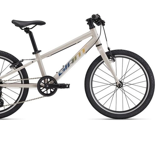 Bicykel Giant ARX 20 Mushroom 2025  Bicykel Giant ARX 20 Mushroom 2025