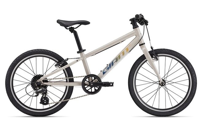 Bicykel Giant ARX 20 Mushroom 2025  Bicykel Giant ARX 20 Mushroom 2025