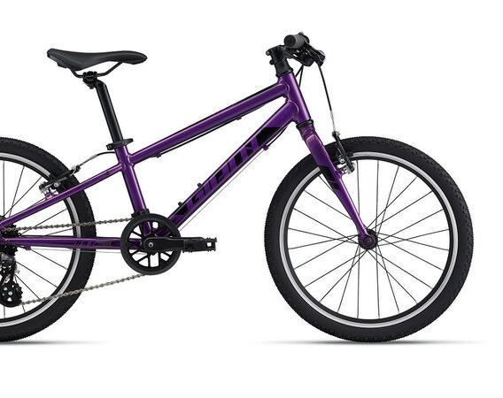 Bicykel Giant ARX 20 Purple 2024