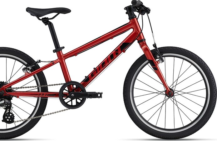 Bicykel Giant ARX 20 Grenadine 2024