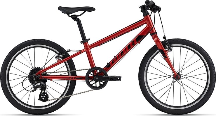 Bicykel Giant ARX 20 Grenadine 2024