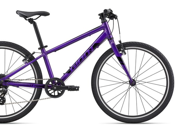 Bicykel Giant ARX 24 Purple 2022