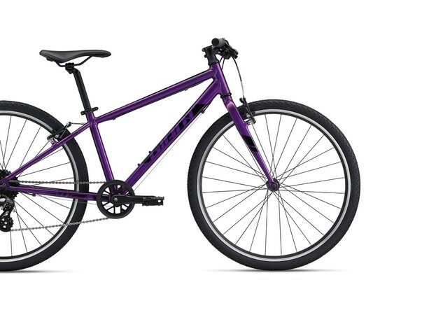 Bicykel Giant ARX 26 Purple 2024