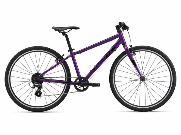 Bicykel Giant ARX 26 Purple 2024
