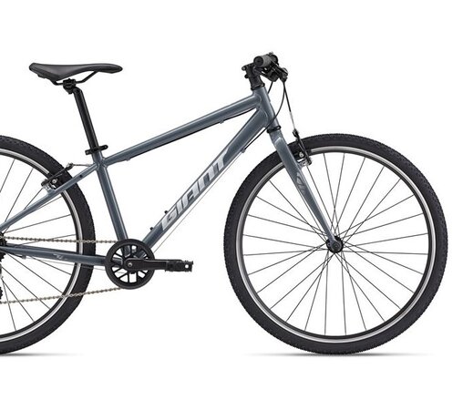 Bicykel Giant ARX 26 Ocean Storm 2025  Bicykel Giant ARX 26 Ocean Storm 2025