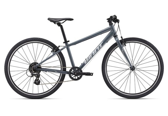 Bicykel Giant ARX 26 Ocean Storm 2025  Bicykel Giant ARX 26 Ocean Storm 2025