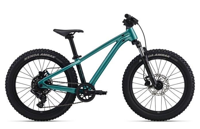 Bicykel Giant STP 20 FS Teal 2026