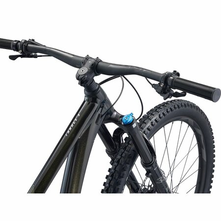 Bicykel Giant Trance 29 1 Panther 2025 