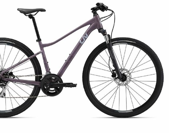 Bicykel Liv Rove 3 DD Purple Ash 2023