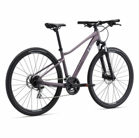 Bicykel Liv Rove 3 DD Purple Ash 2023