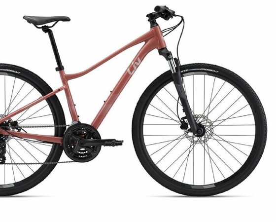 Bicykel Liv Rove 4 DD Terra Roza 2024