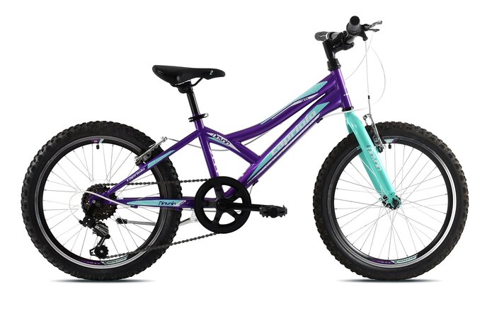 Bicykel Capriolo Diavolo 200 Purple/Turquoise 2021